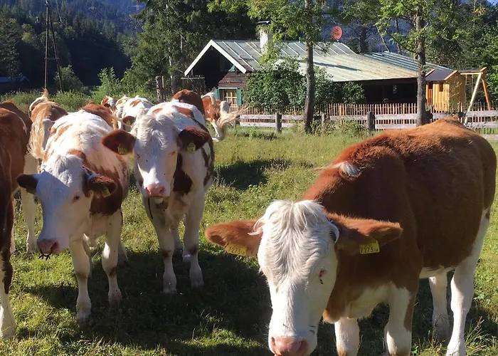 Knusperhauschen Sonnegg Horská chata